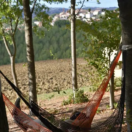 Agriturismo Il Picchio Verde - Casa Padronale アパート Montecarotto